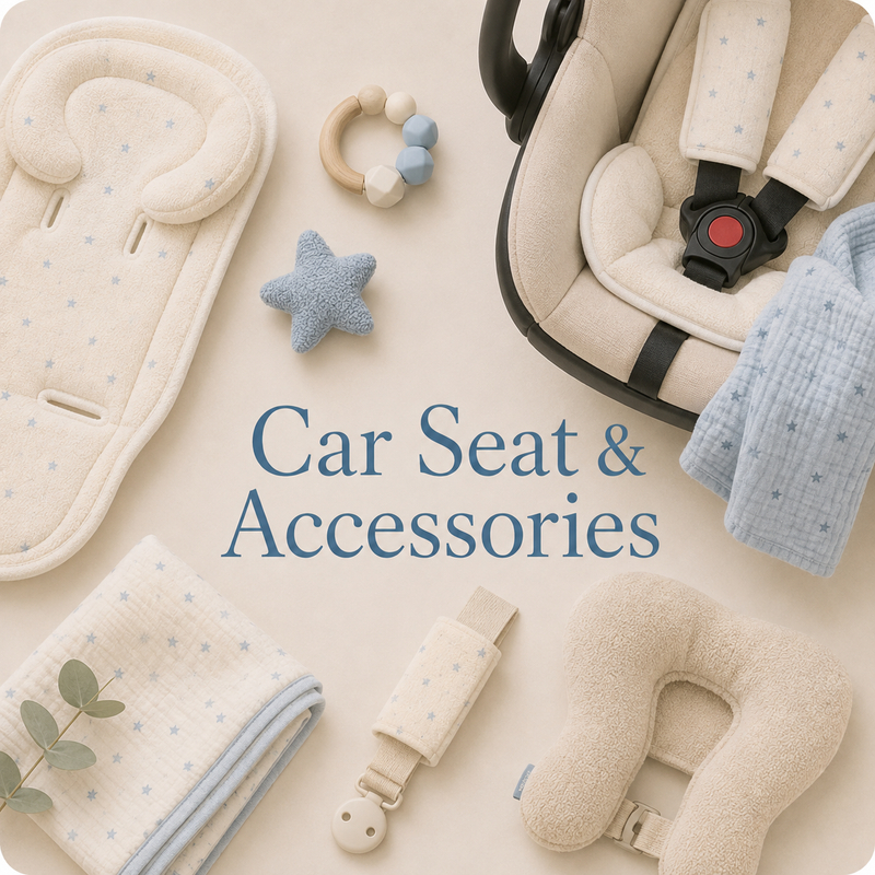 Car Seat & Accessories