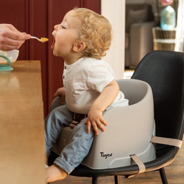 Tigex booster seat (Beige)