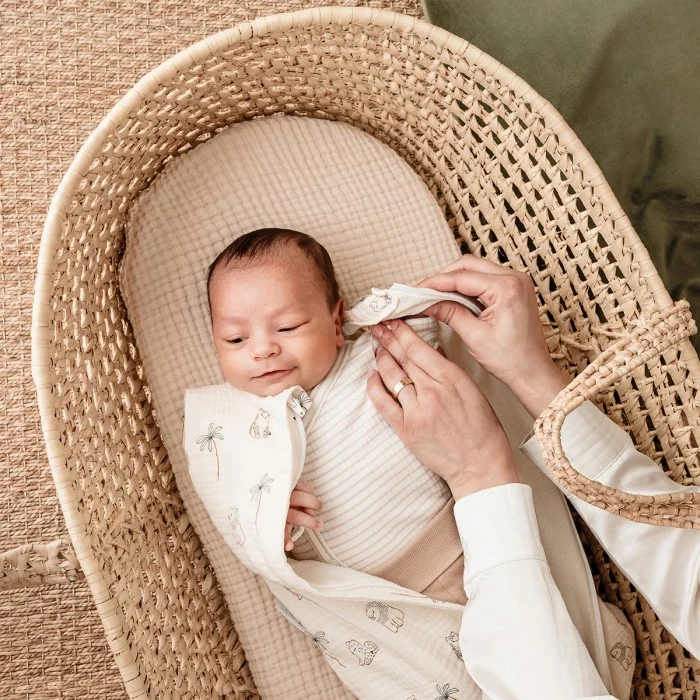 Candide Léo & Maya 2in1 swaddling sleeping bag - 50/65 cm (TOG 1)
