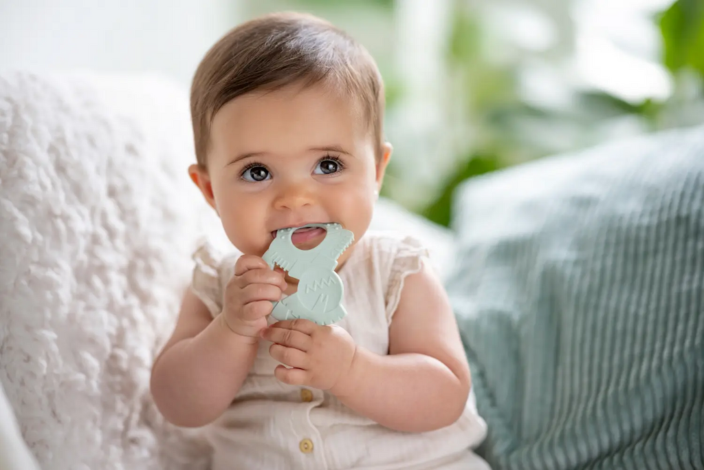 Tigex 2 Teething Rings Little Sailors (lime-blue)