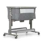 Dream & Swing Co-Sleeping Crib/Color Perla