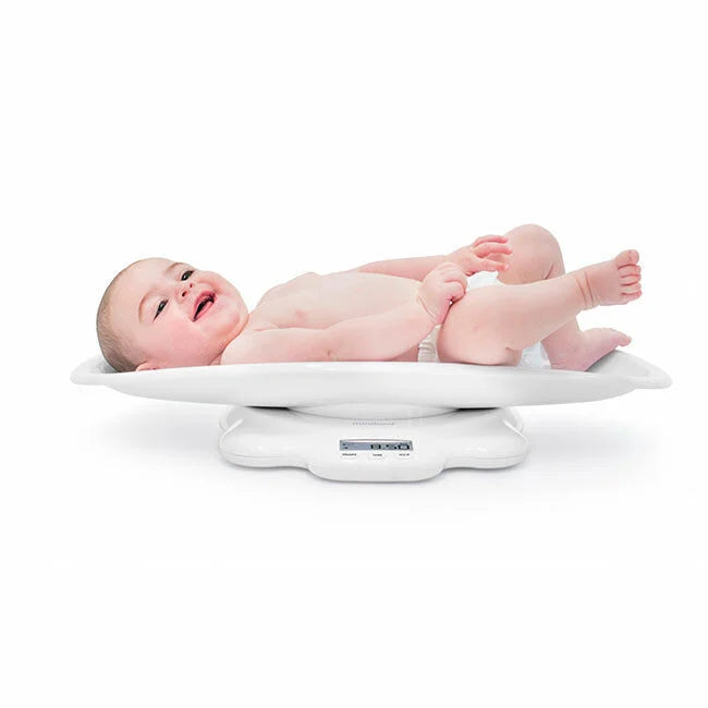 Miniland Scaly Up - 89041